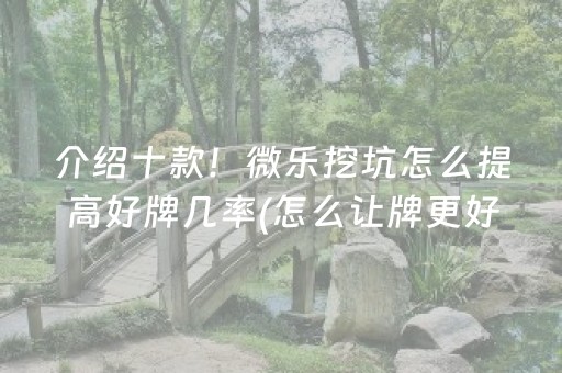 介绍十款“微乐陕西挖坑怎么提高胜率”（挂件神器)