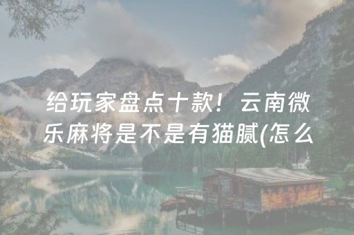 必备攻略“微信小程序微乐麻将如何让系统发好牌”（怎么能调好牌)