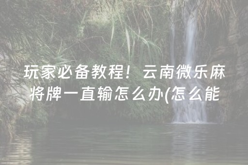 安装程序教程“微乐浙江麻将攻略插件”（AI辅助胡牌规则)