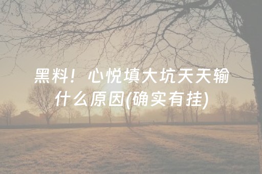 一分钟揭秘“小程序微乐麻将的胡牌规则”（怎么控制输赢)