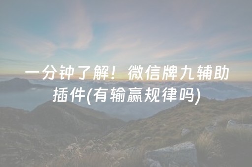 必备攻略“微信雀神麻将输赢规律”（赢的技巧规律)
