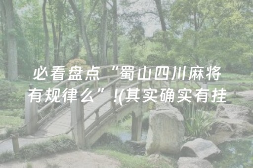 关于“微乐陕西挖坑必胜神器”（小程序必赢神器)