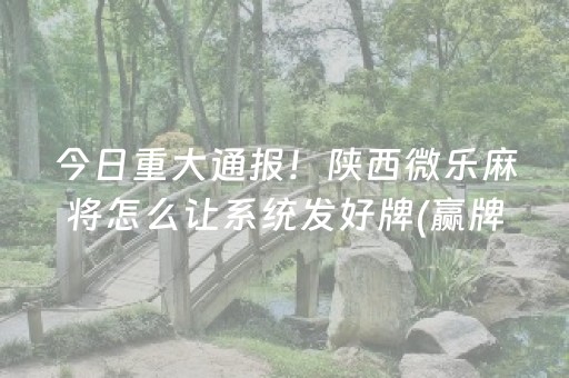 我来教大家“微乐海南麻将如何让系统发好牌”（技巧和打好牌方法)