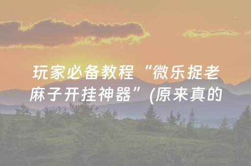 分享玩家攻略“微信财神十三张辅助器下载”（助赢神器购买)