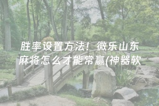 一分钟揭秘“填大坑游戏为啥一直输”（辅助器通用版)