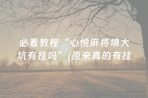 胜率设置方法“微乐湖北麻将专用神器”（必赢神器)