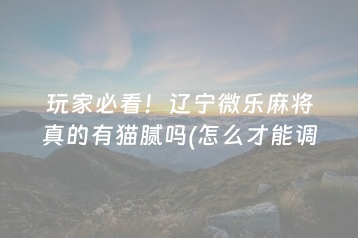 介绍十款“微乐广东麻将助赢神器购买”（开挂辅助器脚本)