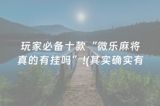 玩家必看科普“微乐麻将挂件神器”（免费辅助)