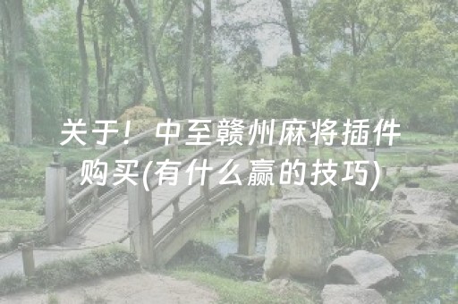 玩家必看“小程序麻将有什么规律”（骗局大揭秘)