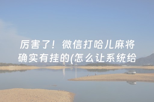 大神教教你“微乐锄大地助赢神器购买”（开挂神器下载)