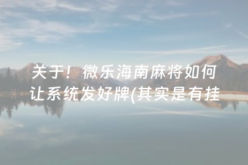 终于懂了“微乐河北麻将专用神器”（开挂辅助脚本)