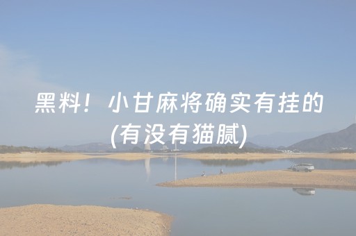 黑料！小甘麻将确实有挂的(有没有猫腻)