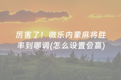 3分钟讲解“广东麻将做弊器”（神器通用版)