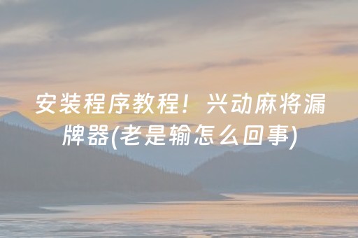 安装程序教程！兴动麻将漏牌器(老是输怎么回事)