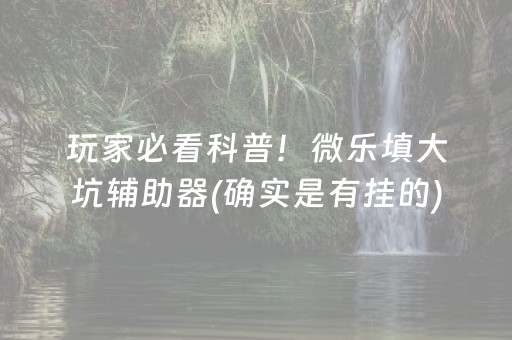玩家必看科普！微乐填大坑辅助器(确实是有挂的)