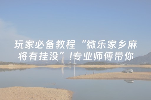 玩家必备教程“微乐家乡麻将有挂没”!专业师傅带你一起了解（详细教程）-抖音