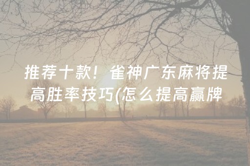 推荐十款！雀神广东麻将提高胜率技巧(怎么提高赢牌率)