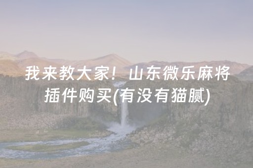 安装教程“微乐山东麻将怎么让系统发好牌”（插件可信吗)