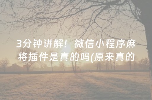 3分钟讲解！微信小程序麻将插件是真的吗(原来真的有挂)