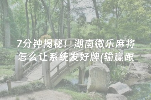 7分钟揭秘！湖南微乐麻将怎么让系统发好牌(输赢跟系统有关系吗)