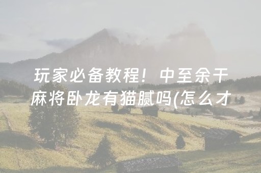 玩家必备教程！中至余干麻将卧龙有猫腻吗(怎么才能调胜率)
