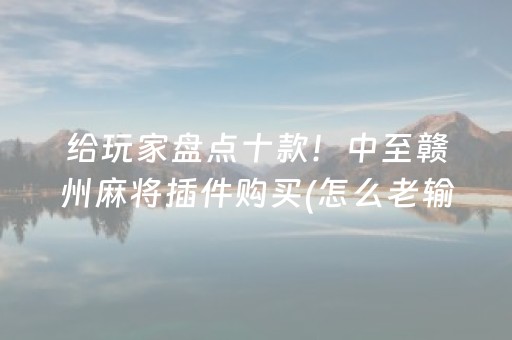 给玩家盘点十款！中至赣州麻将插件购买(怎么老输必备神器)