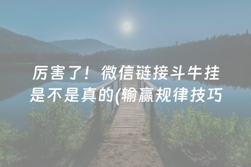 厉害了！微信链接斗牛挂是不是真的(输赢规律技巧)