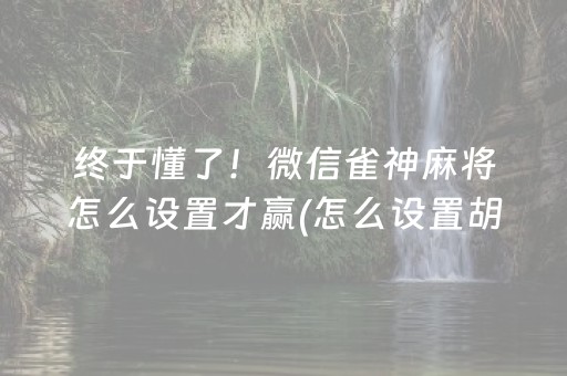 终于懂了“微乐山西麻将专用神器”（辅助器下载)