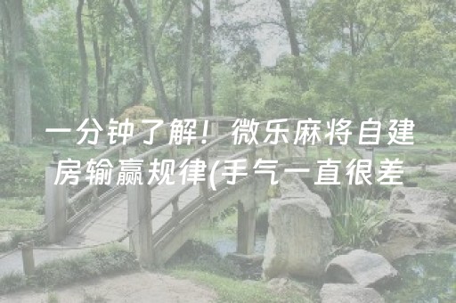 一分钟揭秘“微信小程序财神十三张辅助器工具”（外辅工具)