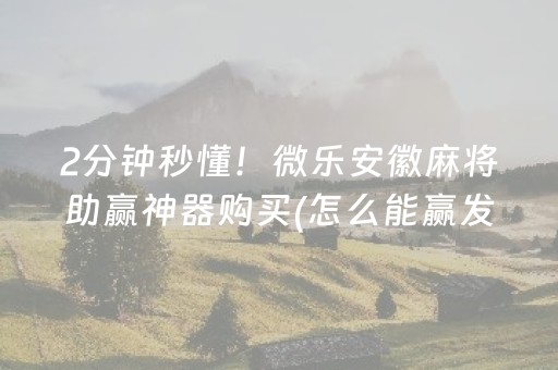 给玩家盘点十款“微乐海南麻将专用辅助神器”（开挂辅助器插件)