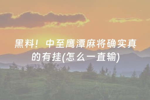 玩家必备“雀神广东麻将插件骗局最新曝光”（确实有插件吗)