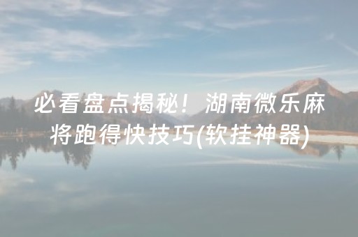 玩家必备攻略“小程序微乐麻将的胡牌规则”（辅助器插件)