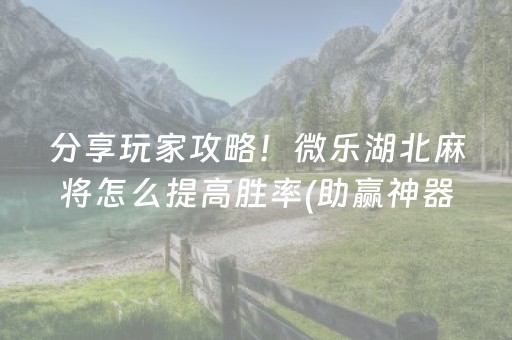 重大通报“财神十三张助赢神器”（确实有插件吗)