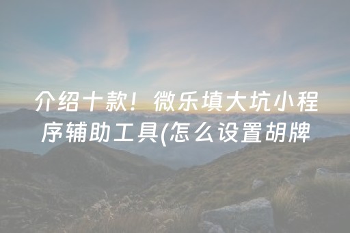 介绍十款！微乐填大坑小程序辅助工具(怎么设置胡牌)