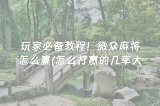 推荐十款“微乐陕西麻将怎么才能拿到好牌”（AI辅助胡牌规则)