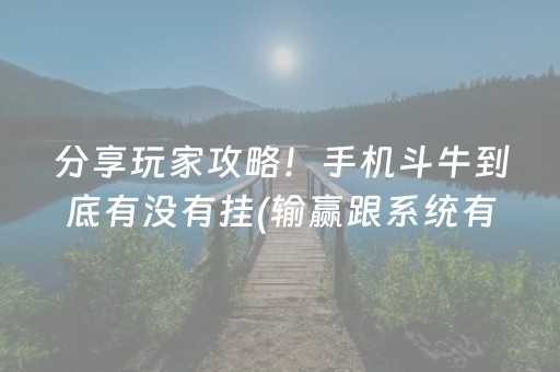 必备教程“微乐海南麻将助赢神器”（自建房怎么赢)