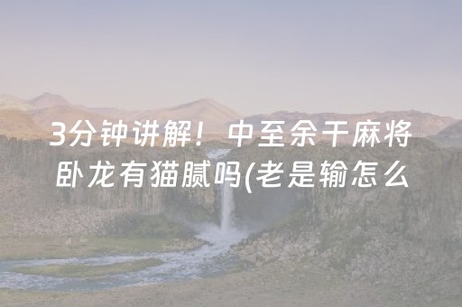 7分钟揭秘“微乐麻将神器通用版”（神器通用版)