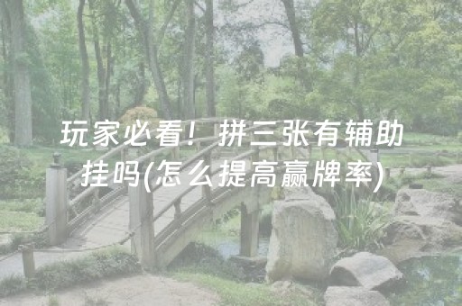 玩家必看！拼三张有辅助挂吗(怎么提高赢牌率)