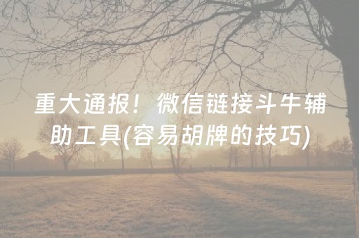 重大通报！微信链接斗牛辅助工具(容易胡牌的技巧)