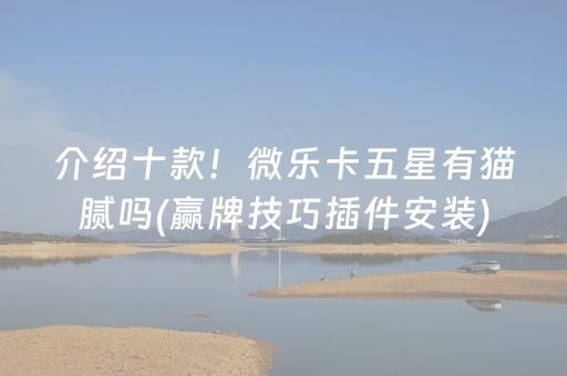 介绍十款！微乐卡五星有猫腻吗(赢牌技巧插件安装)