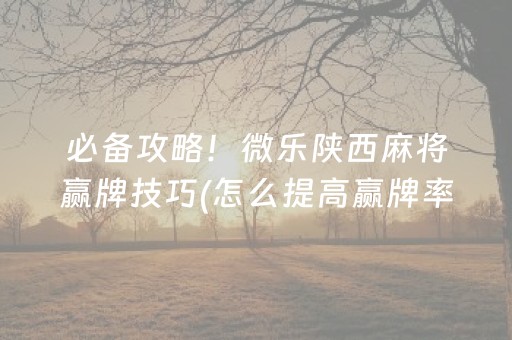 玩家必备十款“微乐湖北麻将专用神器”（小程序怎么才会赢)