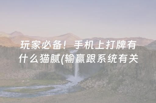 玩家必备！手机上打牌有什么猫腻(输赢跟系统有关系吗)
