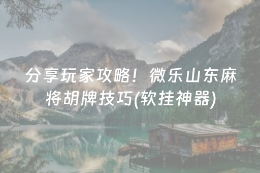 分享玩家攻略！微乐山东麻将胡牌技巧(软挂神器)