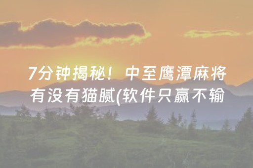 3分钟讲解“小程序雀神麻将开会员会提高胜率吗”（透明器教程)