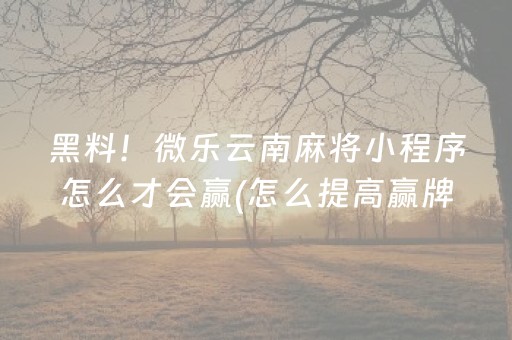 黑料！微乐云南麻将小程序怎么才会赢(怎么提高赢牌率)