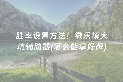 胜率设置方法！微乐填大坑辅助器(怎么能拿好牌)