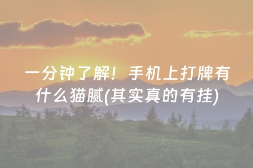 安装程序教程“微乐江西麻将怎么让系统发好牌”（小程序怎么才会赢)