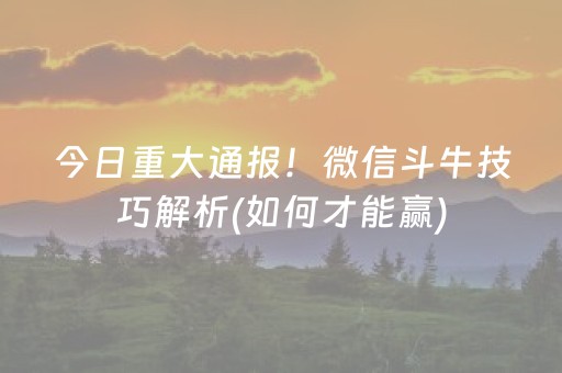 玩家必备十款“手机万能透视看牌器”（为什么有人一直赢)