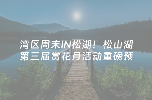 2分钟秒懂“手机网络麻将骗局大揭秘”（胜率到哪调)