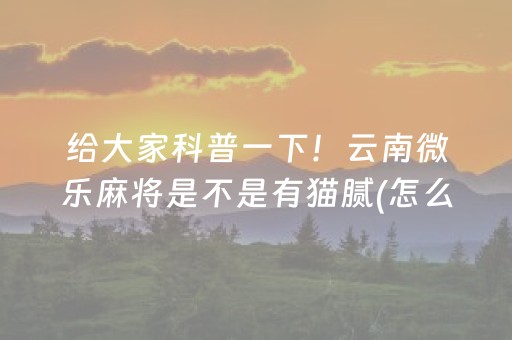安装程序教程“填大坑辅助器免费版”（怎么控制输赢)